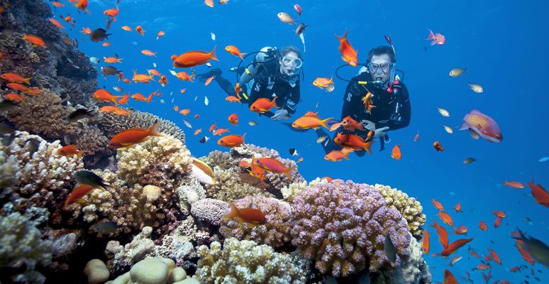 rạn san hô An Thới