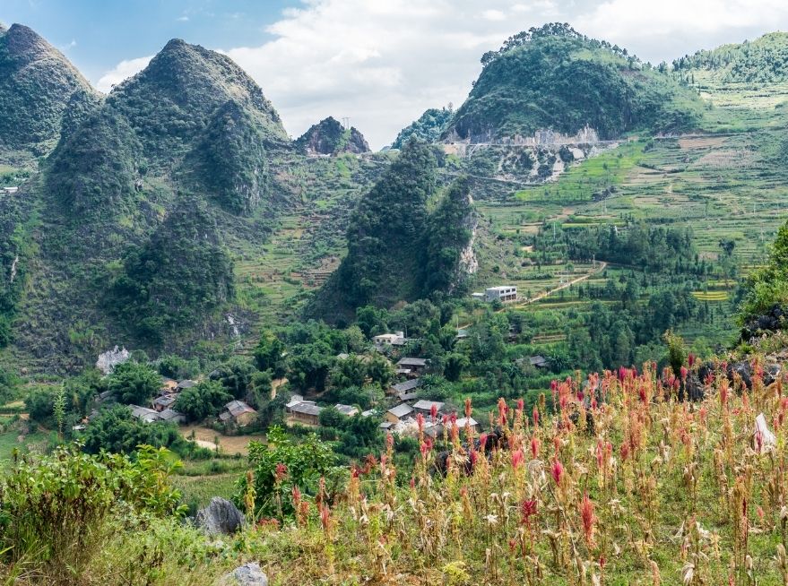 Ha Giang Loop Tour Review
